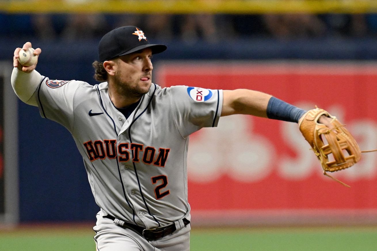 MLB: Houston Astros at Tampa Bay Rays