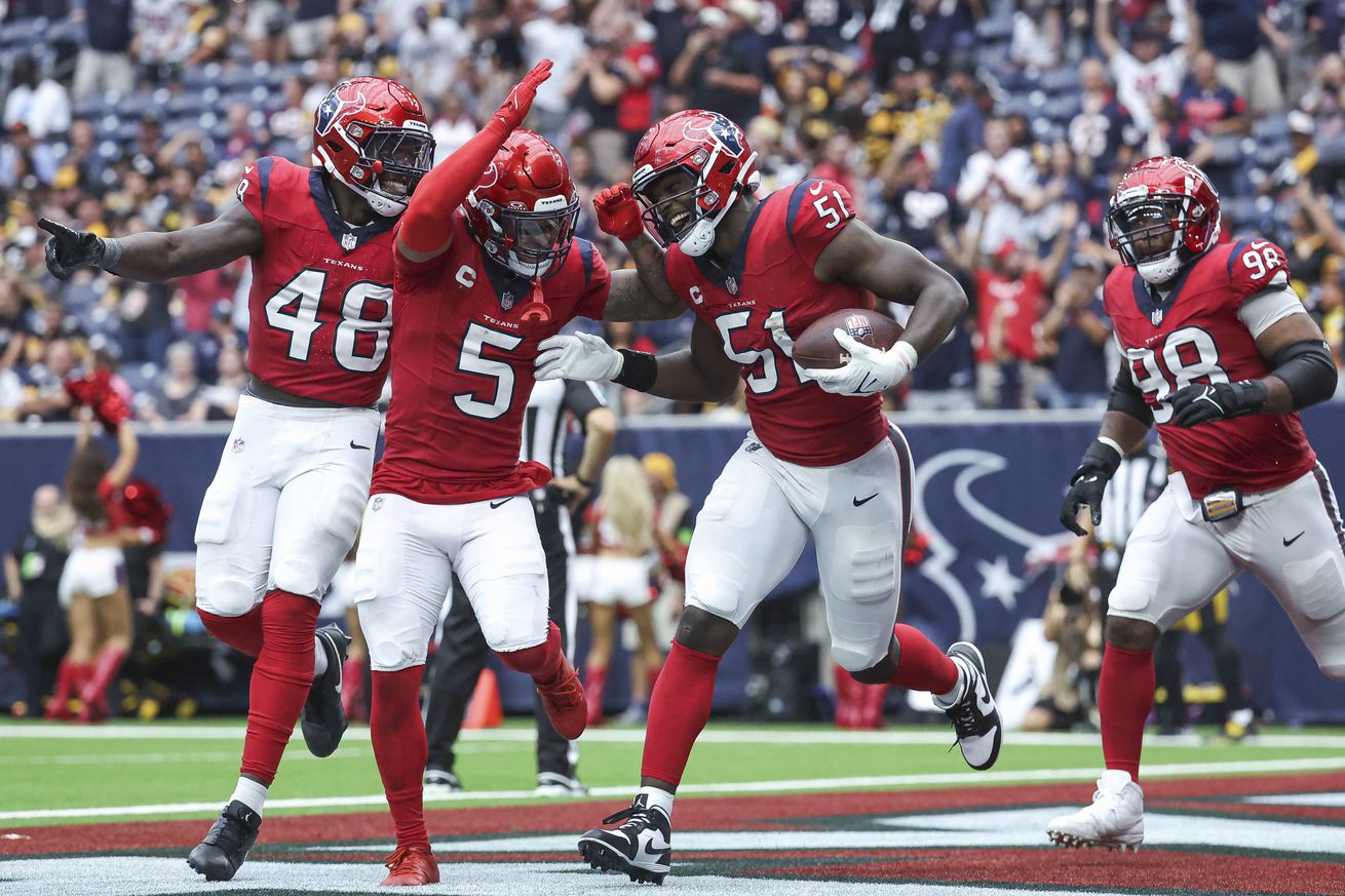 NFL: Pittsburgh Steelers at Houston Texans