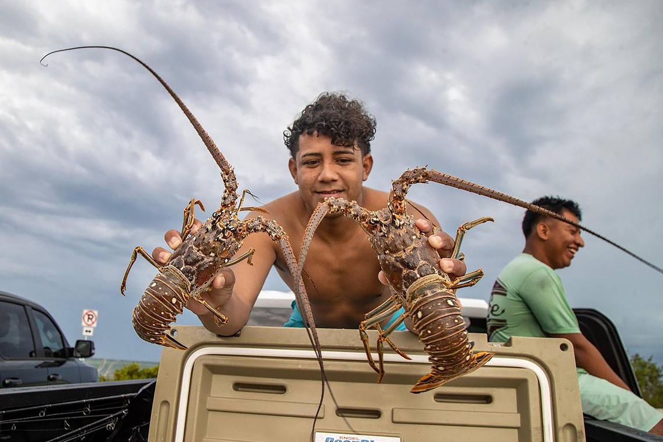 US-NEWS-ENV-FLA-LOBSTER-SEASON-4-MI