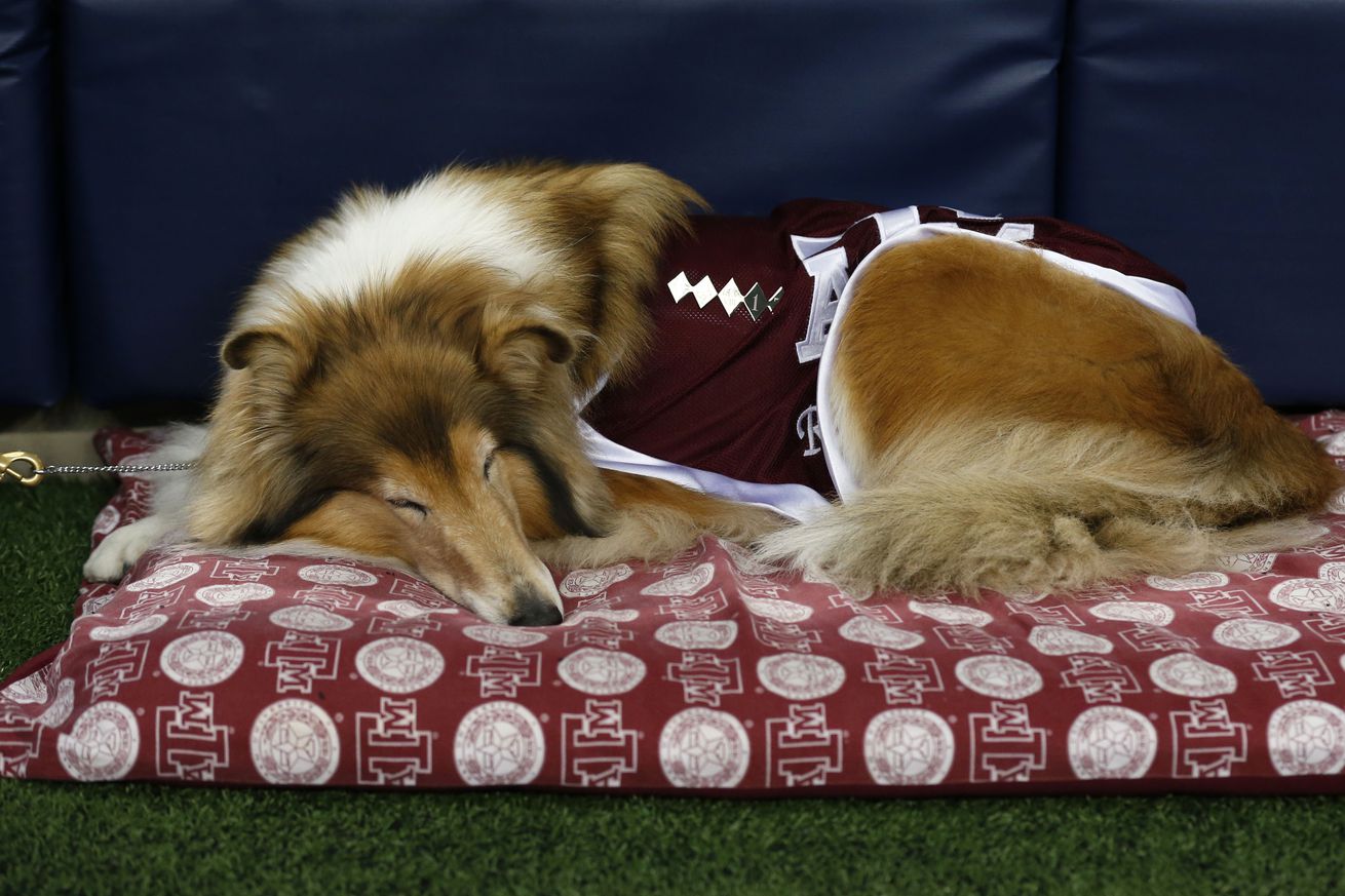 NCAA Football: Arkansas vs Texas A&M