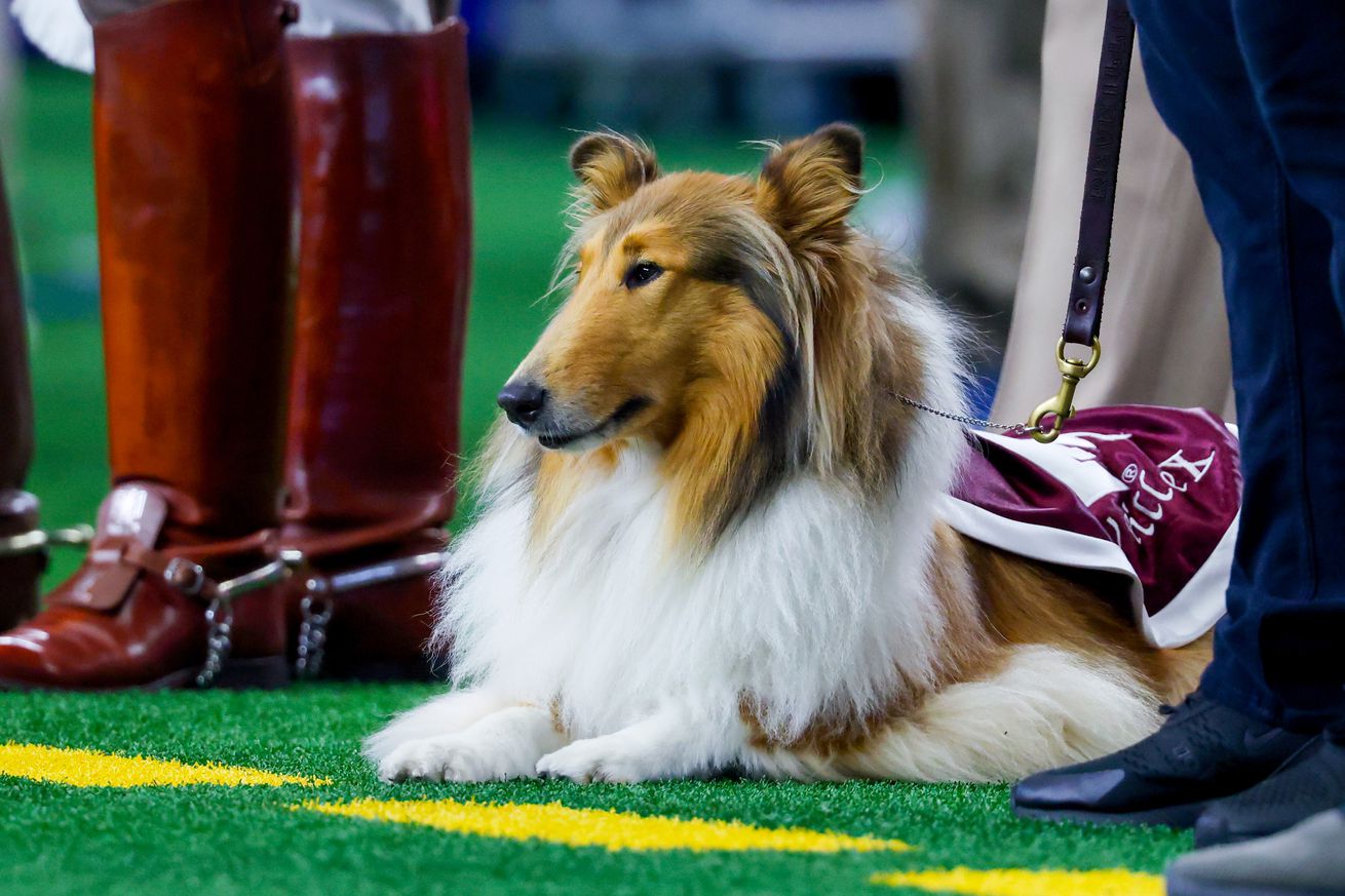 NCAA Football: Arkansas at Texas A&M